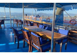 Özel Yüzme Turu Özel Yüzme Turu