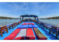 Özel Yüzme Turu Özel Yüzme Turu