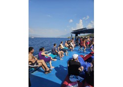 Özel Organizasyonlar